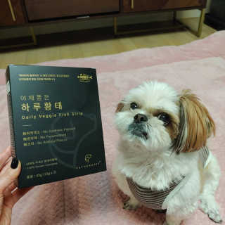 펫테라피 플레이트 야채품은 하루황태 — 5점을 준 리뷰어가 2019년 12월 올린 사용 사진