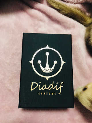 DIADIF 디아디프 차량용 방향제 — 5점을 준 리뷰어가 2017년 11월 올린 사용 사진