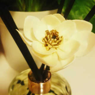 Dre님이 올린 리뷰 사진 4