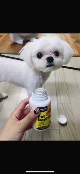 아룽님이 올린 리뷰 사진 3