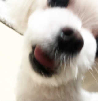 iamB님이 올린 리뷰 사진 3