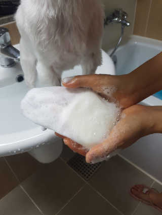 랑이님이 올린 리뷰 사진 3