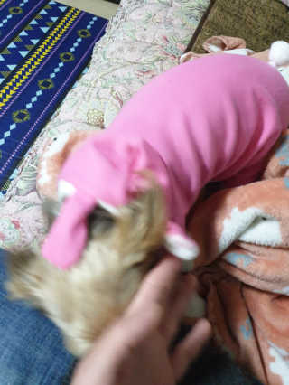 오이잉님이 올린 리뷰 사진 3