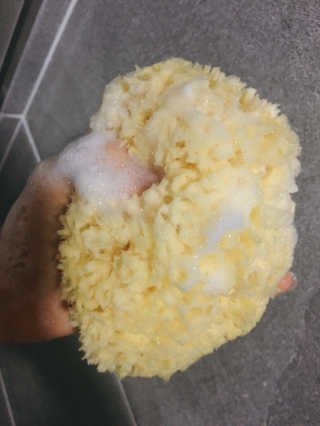 룰라러브 모공관리 끝 지중해산 천연해면 바디스펀지 — 4.5점을 준 리뷰어가 2018년 4월 올린 사용 사진