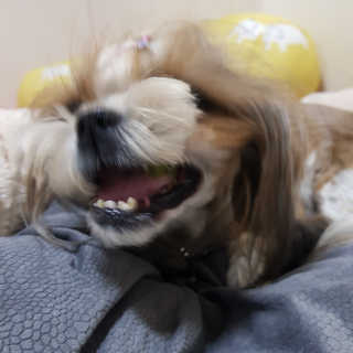 민준맘님이 올린 리뷰 사진 3