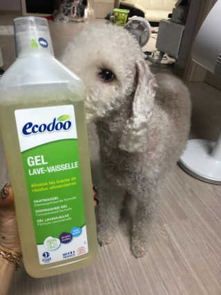 mangjizz님이 올린 리뷰 사진 3