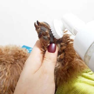 사랑해안시영님이 올린 리뷰 사진 4