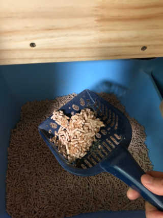[펫토리아] BEST 고양이두부모래 6L 한삽뚝딱 — 5점을 준 리뷰어가 2018년 12월 올린 사용 사진