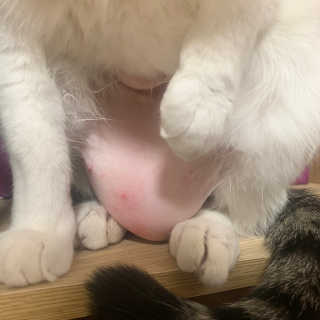 아라뉨님이 올린 리뷰 사진 2