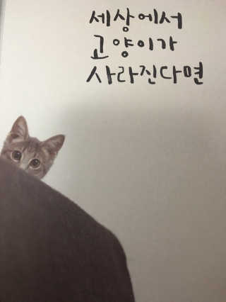 선데이뮤직님이 올린 리뷰 사진 2