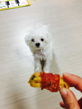 GyeYoungPark님이 올린 리뷰 사진 2