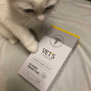 kittyiris님이 올린 리뷰 사진 3