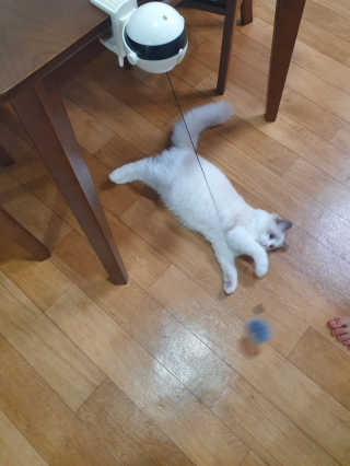딸랑구둘🥰님이 올린 리뷰 사진 1