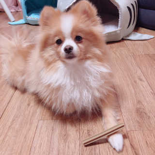 영블리님이 올린 리뷰 사진 2