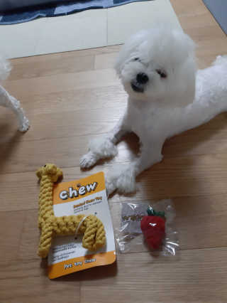 꿍님이 올린 리뷰 사진 2