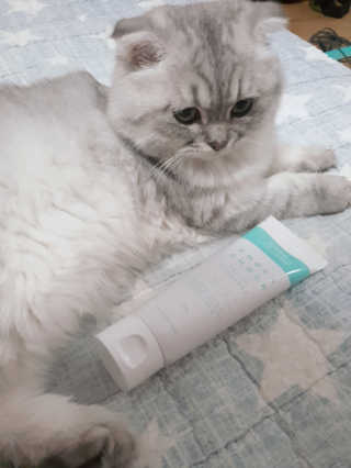 코쿄님이 올린 리뷰 사진 1
