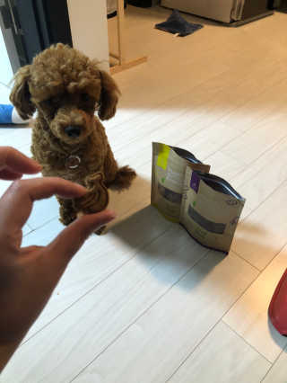 [브루클린펫코] 프리미엄 강아지 수제 쿠키 2종 SET — 5점을 준 리뷰어가 2020년 3월 올린 사용 사진