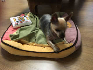 리미님이 올린 리뷰 사진 3