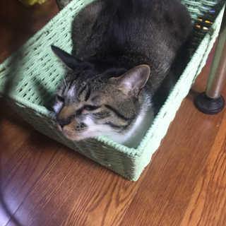 다니당근님이 올린 리뷰 사진 2