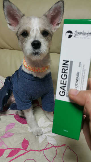 NamokKim님이 올린 리뷰 사진 1