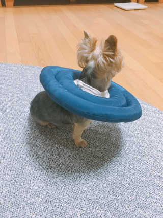 장진아님이 올린 리뷰 사진 1