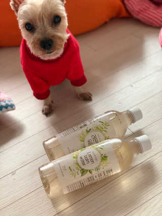 호진이맘♡님이 올린 리뷰 사진 1