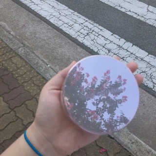 주뽀님이 올린 리뷰 사진 2