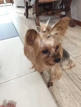 JungimChoi님이 올린 리뷰 사진 2