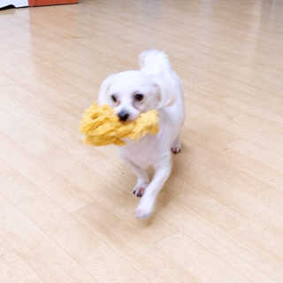 silvermoon님이 올린 리뷰 사진 3