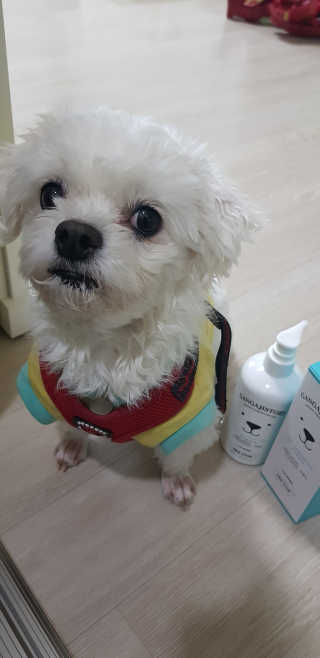 강아지스토리 펫샴푸 300ml — 5점을 준 리뷰어가 2019년 3월 올린 사용 사진