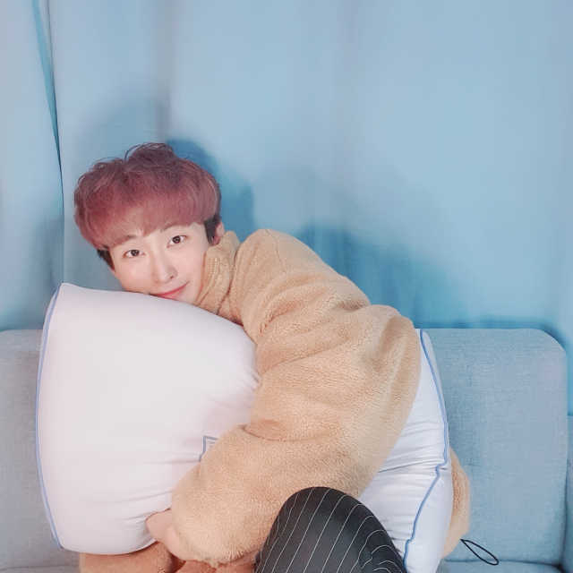 프리넥 참편한 메모리폼 어깨베개 리뷰 사진