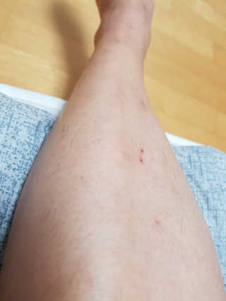 김다인님이 올린 리뷰 사진 3