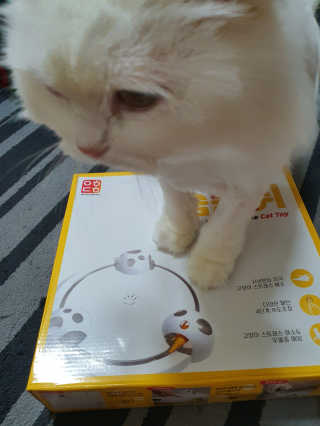 Woo7C님이 올린 리뷰 사진 1