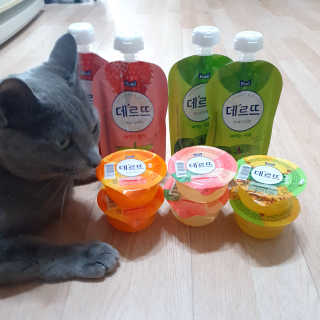 데르뜨 떠먹는 과일 3종, 짜먹는 과일 2종 총 10개 체험 — 5점을 준 리뷰어가 2020년 3월 올린 사용 사진