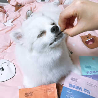 푸디웜 주식회사 [푸디웜] 강아지 저알러지 수제간식 3종세트 — 5점을 준 리뷰어가 2019년 2월 올린 사용 사진