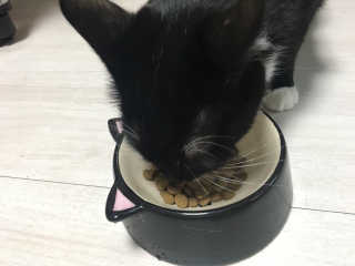 라멜님이 올린 리뷰 사진 2