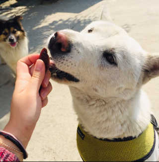 mitchen님이 올린 리뷰 사진 1