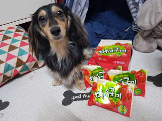 5_daks님이 올린 리뷰 사진 4