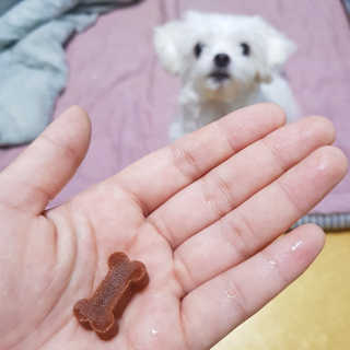 잠보아 뉴트리페어 굿바이 조인트페인 — 5점을 준 리뷰어가 2019년 11월 올린 사용 사진