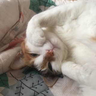 브릴랑님이 올린 리뷰 사진 3