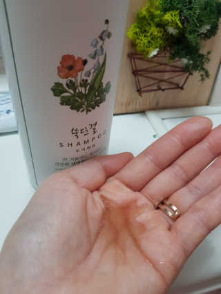 gajete님이 올린 리뷰 사진 2