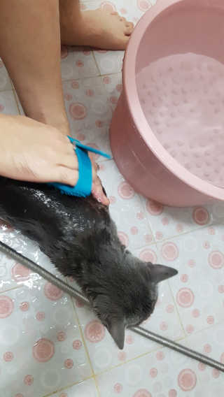 쿠로님이 올린 리뷰 사진 4