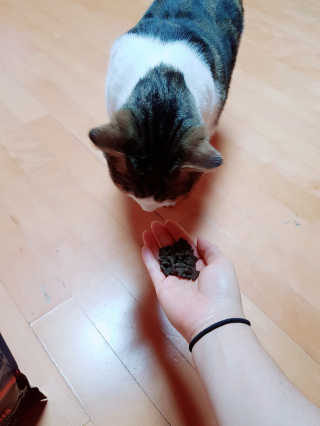 킴귤님이 올린 리뷰 사진 4