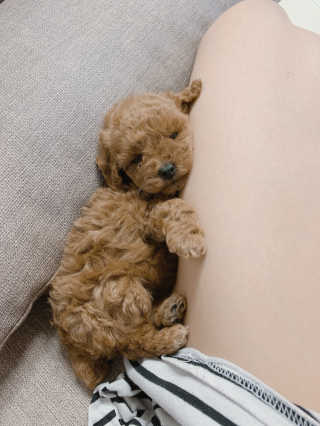 띠옹이님이 올린 리뷰 사진 3