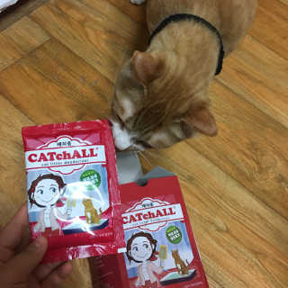 조이님이 올린 리뷰 사진 1