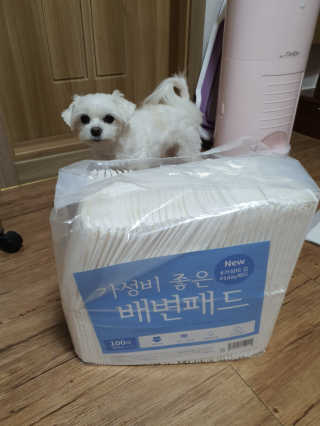 뽀오오옹님이 올린 리뷰 사진 1