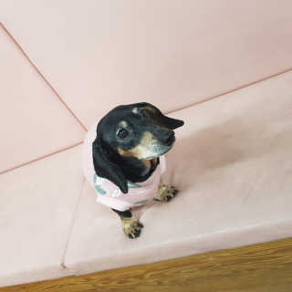 라미라미님이 올린 리뷰 사진 3