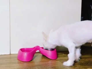 욘짱님이 올린 리뷰 사진 2