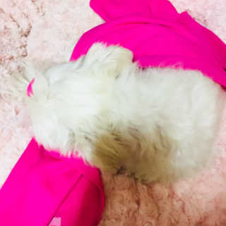 당근님이 올린 리뷰 사진 2