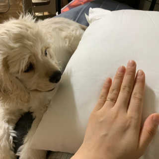 Ghhryh님이 올린 리뷰 사진 2
